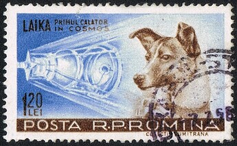 Posta_Romana_-1959-_Laika_120_B