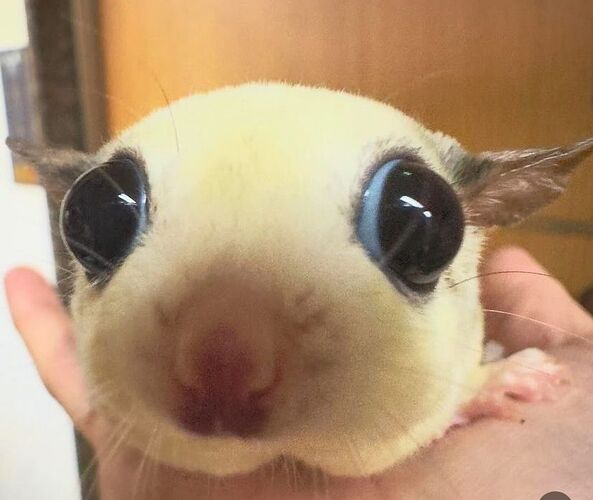 290d3783242d02df40d0ff072a902de8