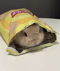 bb973d7b86436fa230edc326a421e5a1