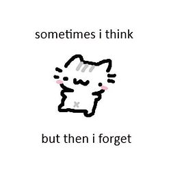 fb4653fcd77d6ce45520c8b1d473cdfa