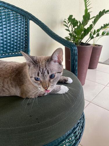 IMG-20241212-WA0009(4)