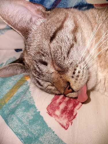 IMG-20241223-WA0013(1)