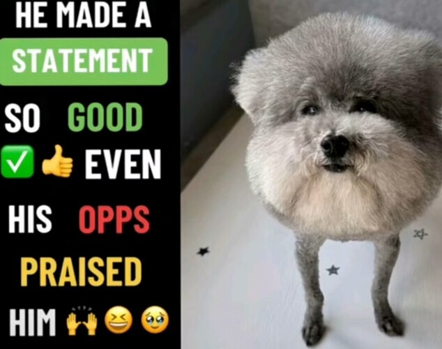 Screenshot_20251231_190617_TikTok