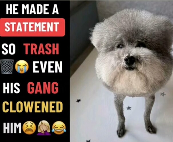 Screenshot_20251231_190600_TikTok