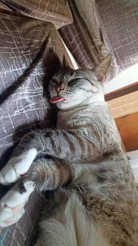 IMG-20250214-WA0003(1)