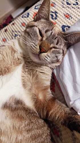 IMG-20240830-WA0025(3)